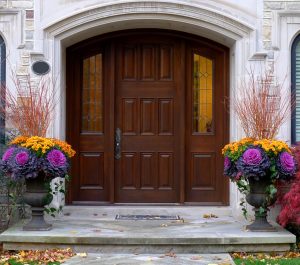 Elegant patio planter featuring annuals and colorful blooms for a Cincinnati outdoor space.