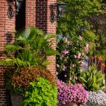 Cincinnati Container Gardening Tips for Spring."