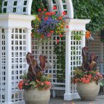 Tropical plants like hibiscus and palms in outdoor containers, available at Natorp’s Nursery