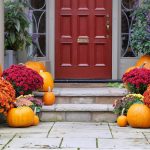 Mums used in colorful Cincinnati garden pathway for fall