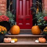 Container gardening ideas with vibrant mums