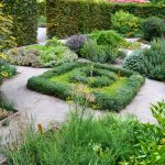 Herb garden with basil and chives in Cincinnati garden