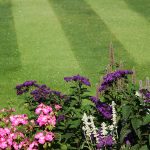 Cincinnati lawn care tips from Natorp's Landscape