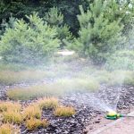 Watering tips- Water early morning to reduce evaporation and maximize soil moisture, Cincinnati, Ohio